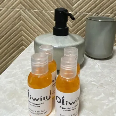 Apartment Oliwin *