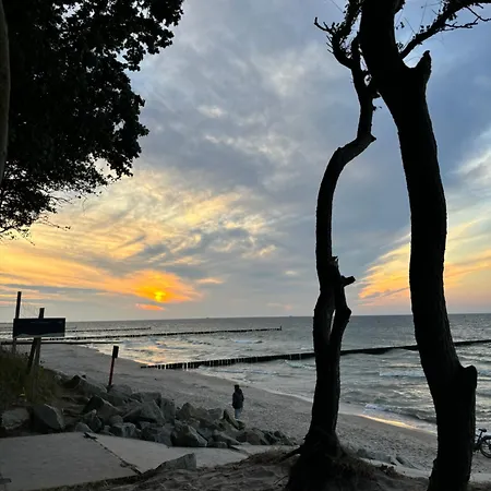 Oliwin Apartamento *