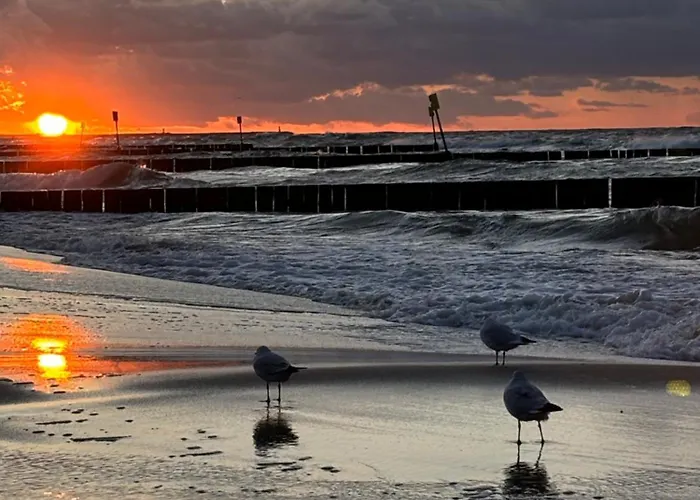 Oliwin Apartment Kolberg